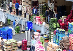 Her gün 1000 kamyon geliyor