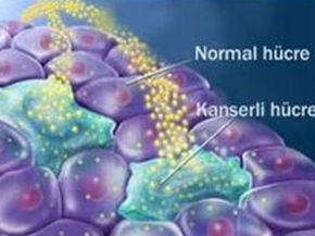 Her yıl 3 bin çocuk kansere yakalanıyor!
