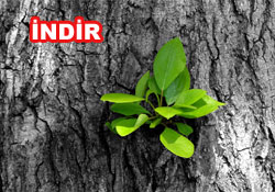 Risale-i Nur'dan vecizeli duvar kağıdı - [indir]