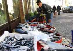 Kar ve soğuk, balık fiyatlarını yükseltti