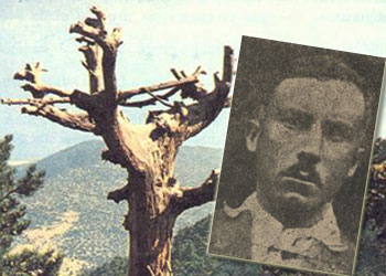 Bediüzzaman'a 'vay mübarek vay' dedirtmişti