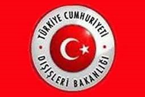 Mühendisler, Dışişlerine girebilecek