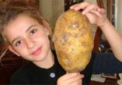 Kızı Elif'in başı kadar patates yetiştirdi