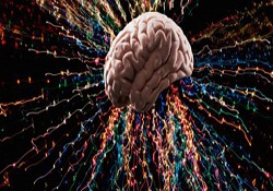 Alerjisi olanlarda beyin tümörü riski az