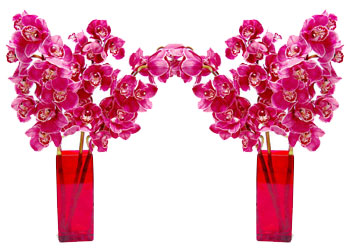 Her olay ya bizzat ya neticesi ile güzeldir