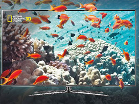 İlk 3D kanalı yayına açılıyor