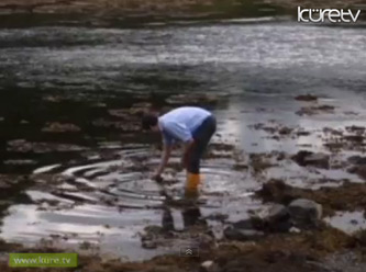 Yosundan yakıt ürettiler - Video