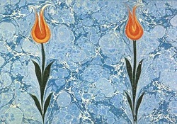 Özel Çocuklar Ebru Sanatıyla Deşarj OLuyor