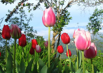 Haşir Risalesinde isbat edilen üç hakikat