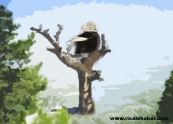 Bediüzzaman'ın hayatı orkestrayı şok etti