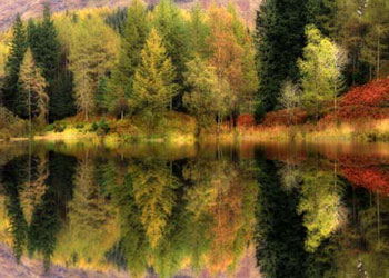 Risale-i Nur'dan güz mevsimi-FOTO