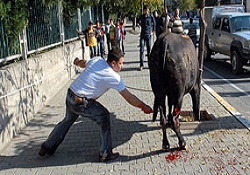 Kurban cezaları da belirlendi