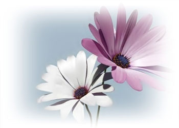 'Rabbim Allah'tır de, sonra doğru ol!'