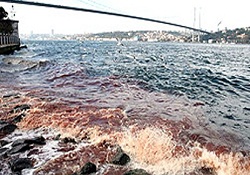 Boğaz kan kırmızısı