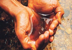 Tarım alanlarında 'metal' tehlike