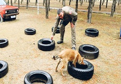 Bu köpekler sahte parayı kokusundan tanıyor