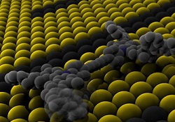 Dünyanın en küçük otomobilini yaptılar