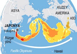 Japonya'da tarıma radyasyon engeli