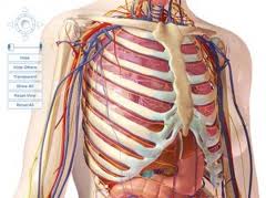 Allah'ın ispatı için cisim kafesine bak!