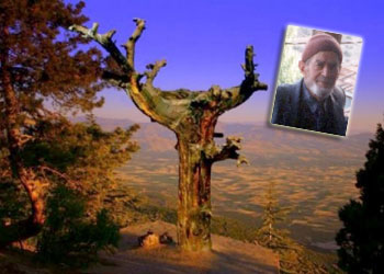 Said Nursi belki de Barla’dan gitmezdi