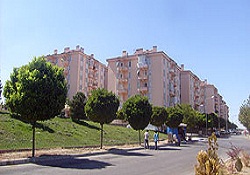 Erciş'e 10 bin kişilik 'geçici ilçe' kuruluyor