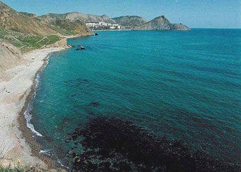 İnsanlar yüzünden kara ve deniz bozuldu