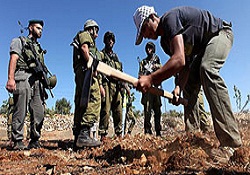 Filistinli çiftçiler Türkiye'de eğitilecek