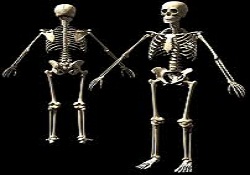 165 İskeletin DNA'sı araştırılıyor