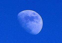 3 bin kişi ayda arsa aldı