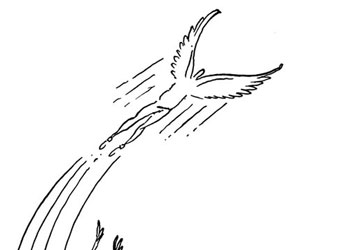 Akıl ruhun harekatını ihata edemez-Karikatür