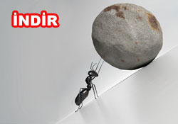 Risale-i Nur'dan vecizeli duvar kağıdı - [indir]