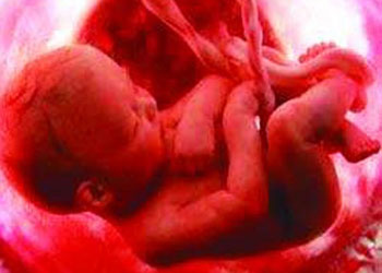 Kur'ana göre insanın yaratılışı nasıldır?