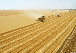 Türkiye tarımsal alanda 14. sırada