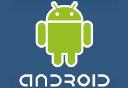 Android 4.0'a Flash desteği