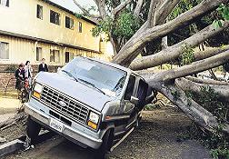 Kaliforniya'da fırtına kabusu