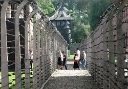 Soykırım mağdurlarına aylık bağlandı!