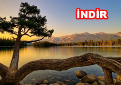 Risale-i Nur'dan vecizeli duvar kağıdı - [indir]
