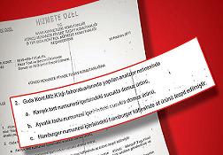 Mehmetçik'e domuz ve at eti