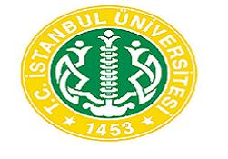 İstanbul Üniversitesinde çalıştay