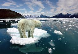 Buzullar erirse, deniz ne kadar yükselir?