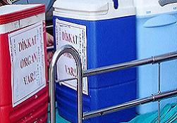 Türkiye'de 30 bin kişi organ nakli bekliyor