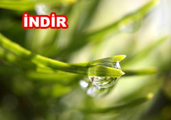 Risale-i Nur'dan vecizeli duvar kağıdı - [indir]