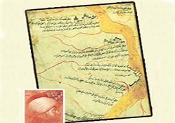 Evliya Çelebi’nin kayıp haritası bulundu