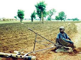 Dünyada 870 milyon kişi aç!