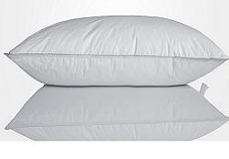 Viyana’da ‘yastıklı’ meydan savaşı