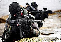 Tunceli'de Operasyon: 7 Pkk'lı Öldürüldü