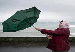 İsveç'te fırtına tren ulaşımını durdurdu