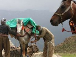 PKK mazot kaçakçılarını yem yaptı
