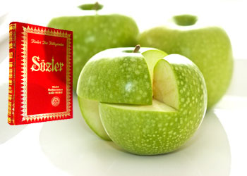 'Elma'lı Risale-i Nur eğitim projesi