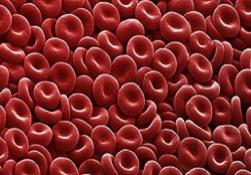 Neden kan grubumuzu bilmeliyiz?